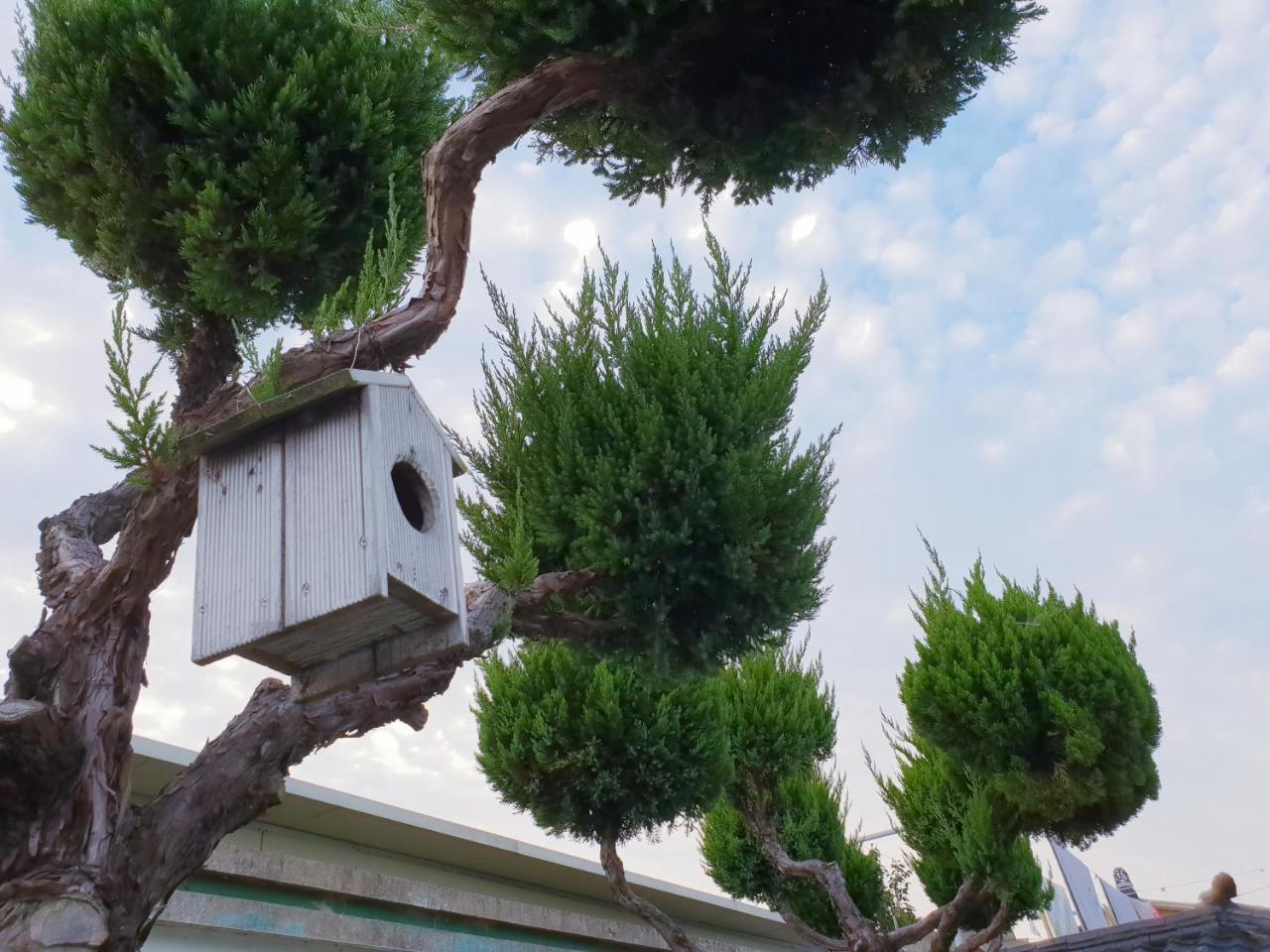 Hanok Raon Gyeongju Luaran gambar